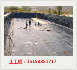 高要垃圾場土工膜廠家直銷與藕池防滲膜應(yīng)用解析 專業(yè)土工膜的選擇與價(jià)值